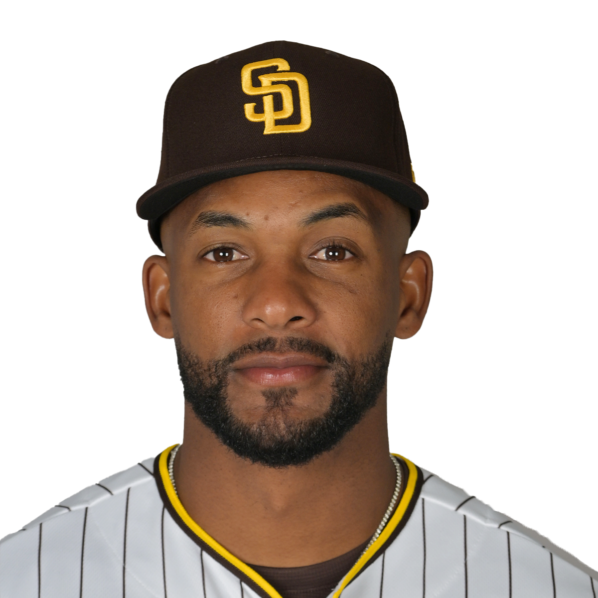 Miguel Andujar headshot